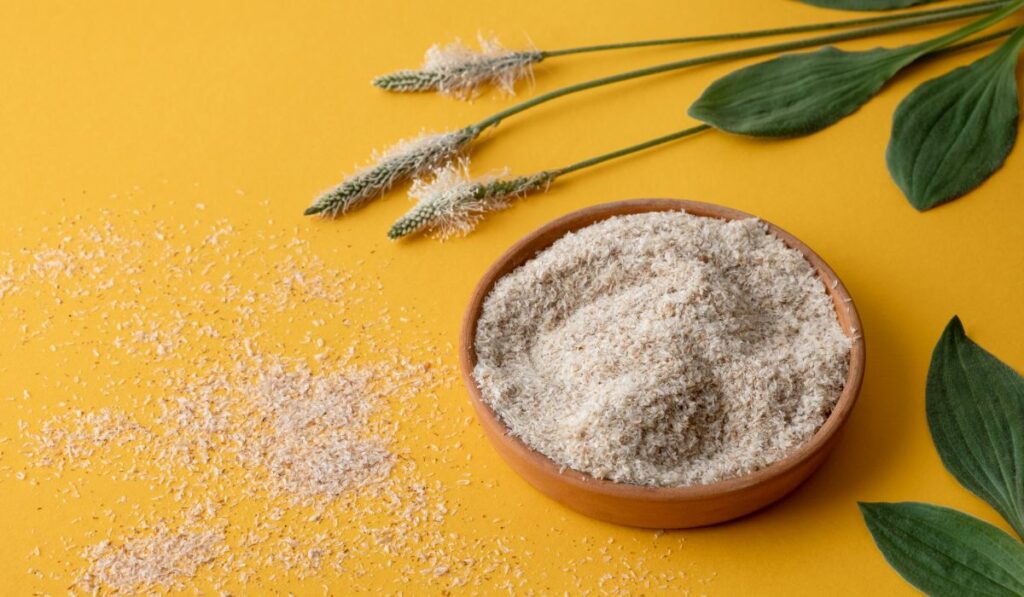 Babka jajowata: czym jest i jakie ma właściwości dla zdrowia? 